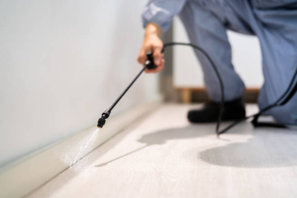 Best Pest Removal Services  in Ivey, GA