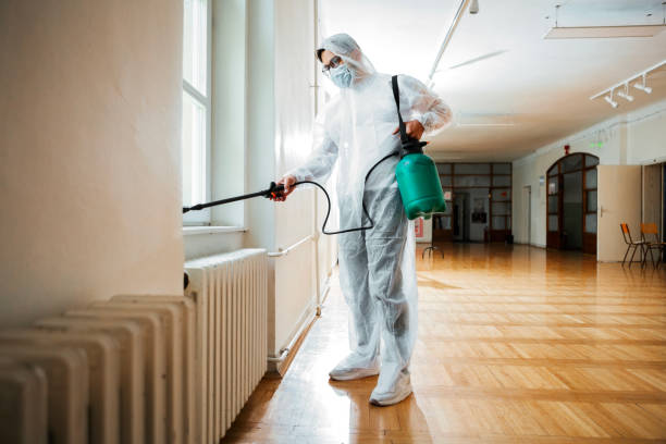 Best Bed Bug Extermination  in Ivey, GA